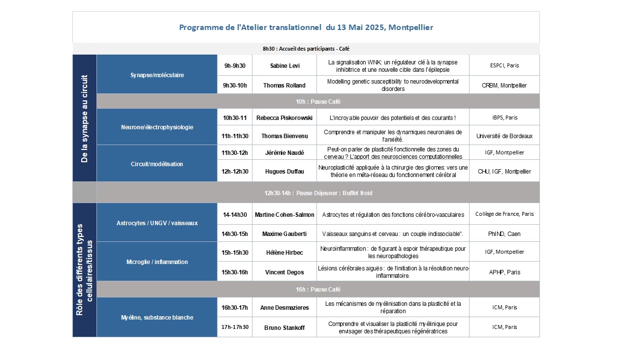 programme_translationnel_2.jpg